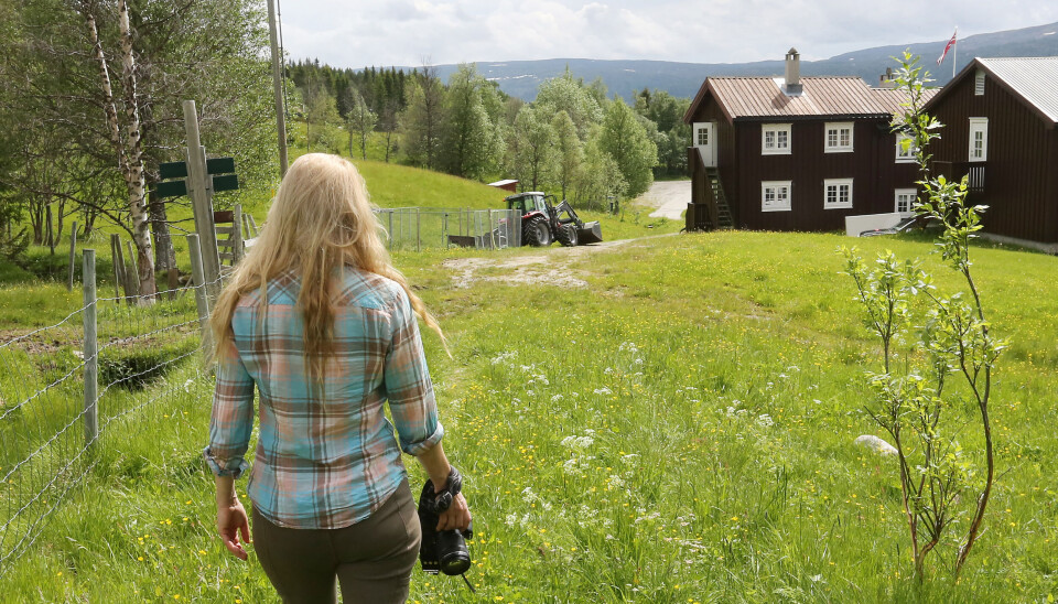 STERKT: Vær og natur er i stadig forandring i Haltdalen, i stor kontrast til det stabile solskinnet i California.