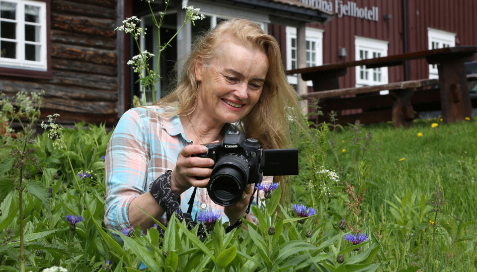 BLÅTT: Kornblomstene utenfor hotellinngangen får evig liv på Instagram.
