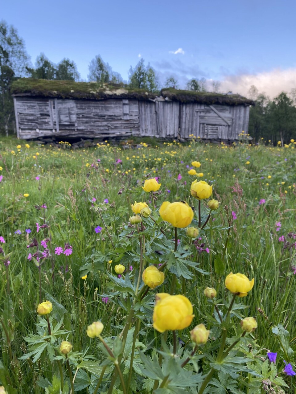 Her Er Lesernes Sommerbilder her-er-lesernes-sommerbilder