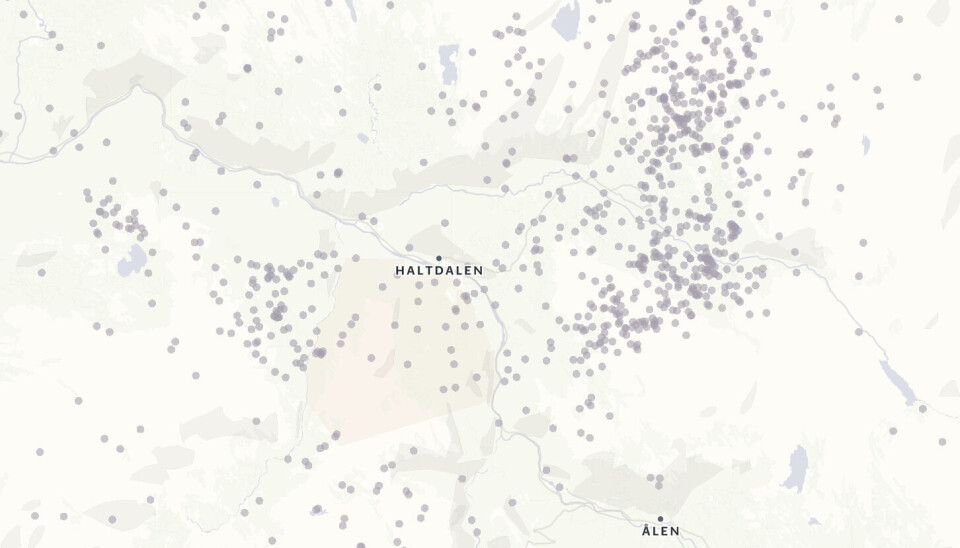 TETT: Skjermbildet viser hvor lynet slo ned i Holtålen torsdag kveld.