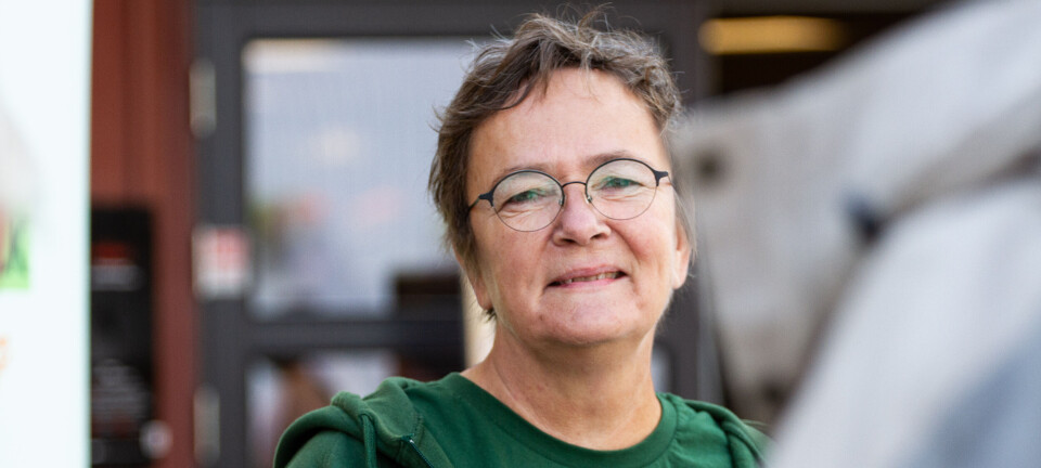 Legger du ned en grendeskole, vil samfunnet forvitre på sikt