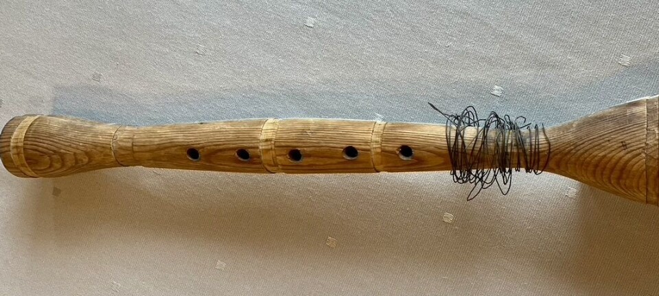 Gammelt blåseinstrument oppdaget i Feragen