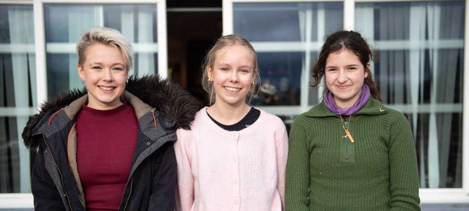 – Hva slags fredagstaco spiser de der?