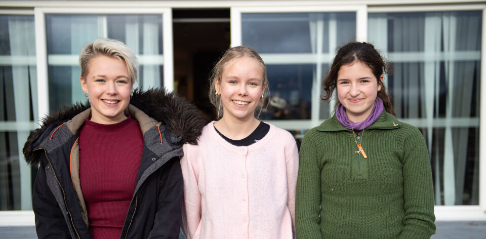 – Hva slags fredagstaco spiser de der?