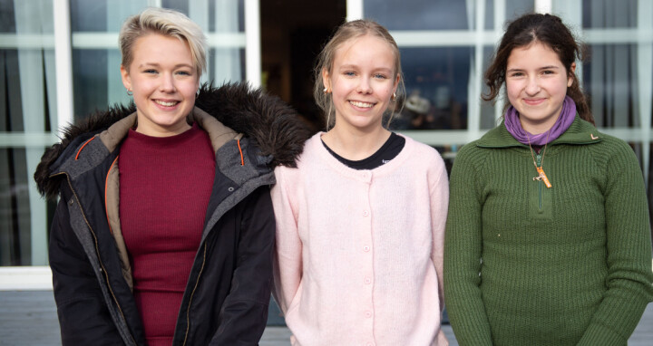 – Hva slags fredagstaco spiser de der?