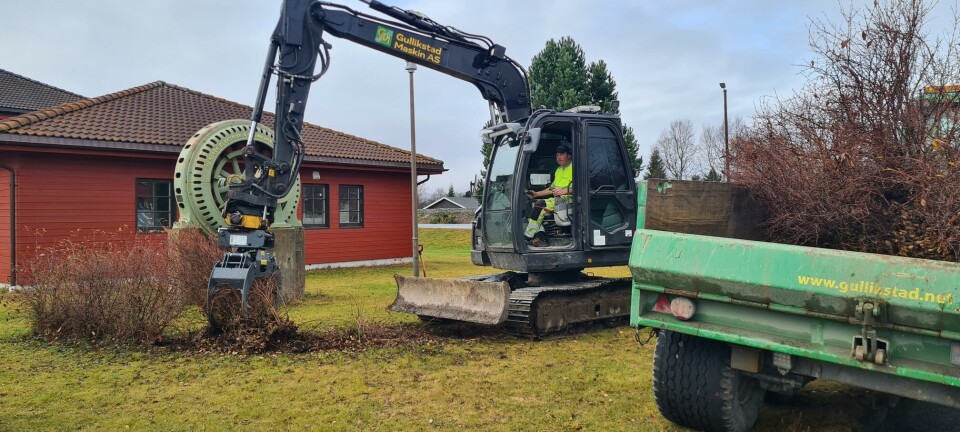 Røsker opp med rota
