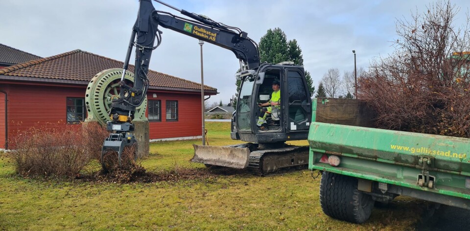 Røsker opp med rota