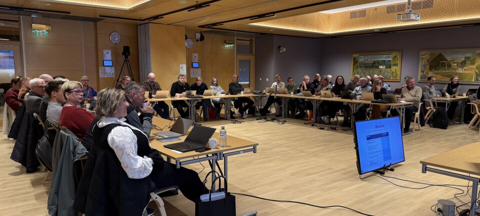 – Jeg synes dette blir ei seigpining