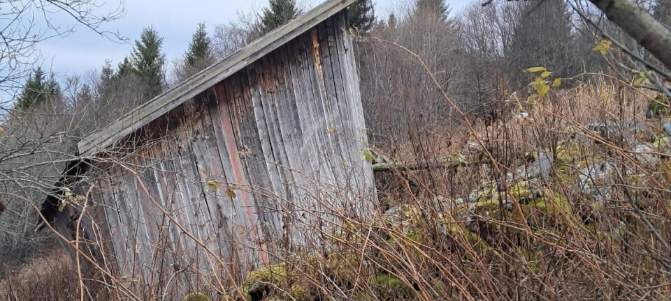 – Den fløy seks meter gjennom lufta