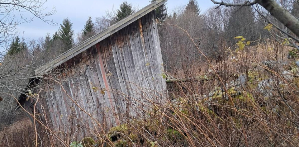 – Den fløy seks meter gjennom lufta