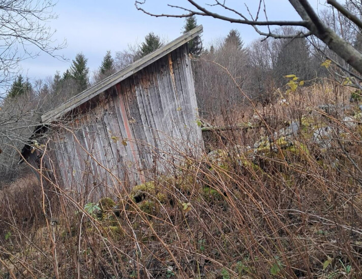 FIKK FLYTUR: Uværet «Amy» i starten av oktober tok med seg løe i Ålen: – Den solide bygninga er intakt, forteller tipser John Ingvar Mosleth.