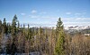 Vinterlig fjellandskap med granskog og snødekte åser under blå himmel.