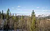 Vinterlig fjellandskap med granskog og snødekte åser under blå himmel.