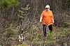 En beagel går i skogbunnen med fører bak seg i en skog.