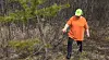 En person i oransje jakke legger blodspor i en skog.
