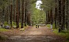 Grussti i tett skog med en bom på tvers av veien.